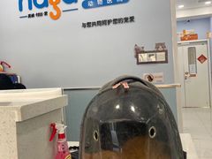 -纳吉亚猫专科动物诊疗中心(蒋宅口分院)