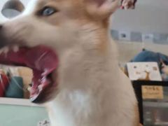 -平行世界·猫咖(首经贸店)