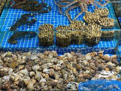 -霞涌市场海鲜摆卖区