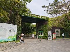 -华侨城湿地公园