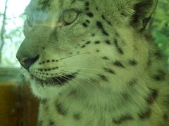 -青藏高原野生动物园