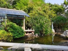 -深圳国际园林花卉博览园