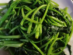 清炒红薯叶-老友记海景餐厅