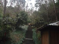-梦姑塘文化公园