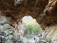 -大连天门山国家森林公园