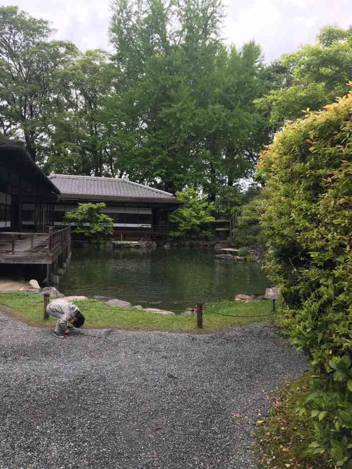 涉成园-"据说是东本愿寺的别院小花园,我们来的不是."-大众点评移动版