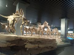 -大庆市博物馆