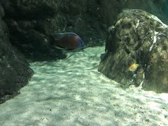 -江和美海洋公园