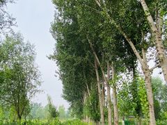 -东郊湿地公园