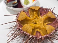-常鲜楼常来尝鲜海胆馆(星海店)