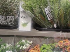 -鹿岛生活(熙地港店)