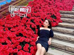 -万科生活广场(东莞松山湖店)