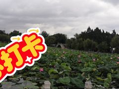 -翠湖公园