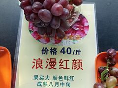 -马陆小张葡萄园农家乐