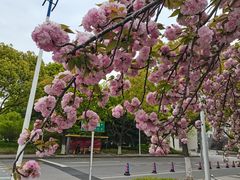 -江南大学(蠡湖校区)