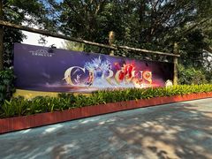 -广州长隆国际大马戏