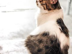 -五月木作·DIY木作文创体验店(北京路店)