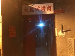 -大槐树烤肉馆