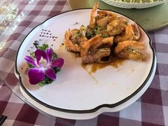 -陶缘一号·四季缘·老字号顺德菜·户外婚礼家宴(西滘店)