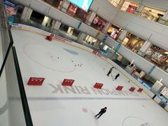 -炫采冰场(红博中央公园商场店)