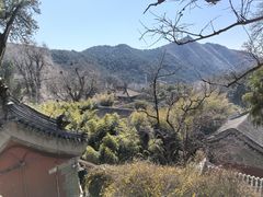 -潭柘寺景区