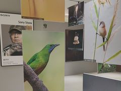 -Sony Store 索尼(上海淮海中路店)