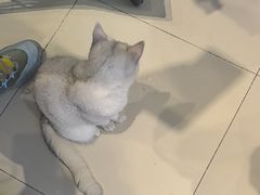 -怪兽屋·羊驼·猫咖·狗咖(俊华广场店)