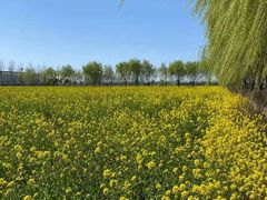 -兰陵国家农业公园