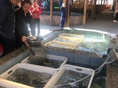 水产区-胖姐渔村(中源大道店)
