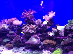 -青岛海底世界-水族馆