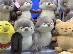 -天天玩X秋葉原日系动漫游戏中心