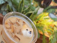 -Seesaw Coffee(上海太阳宫K46店)