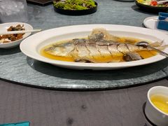 老酒蒸鲥鱼-望乡楼上海菜(日月光店)