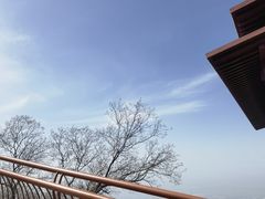 -少华山国家森林公园