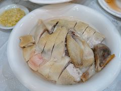 白切鸡-盈旺小厨·非遗黄鳝饭(泰康路店)