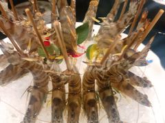 红剑基围虾-璞御·海鲜·雪花牛肉局(宾水西道店)