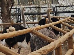 -大连森林动物园