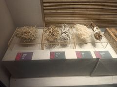 -宣城市博物馆