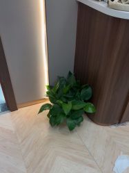 -杭州米兰柏羽医疗美容医院