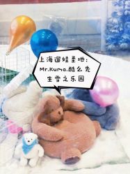 -Mr·Kuma酷么先生雪之乐园