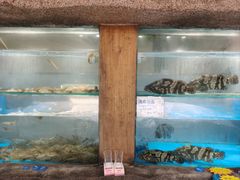 -郑庄脂渣海鲜楼(九水路店)