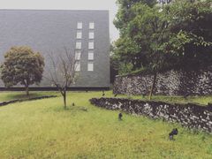 -美丽洲堂
