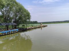 -微山湖红荷湿地景区