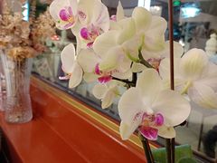 -东门烤鸭店(鼓楼店)