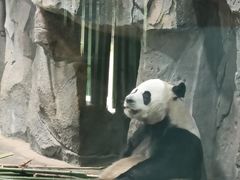 -栾川竹海野生动物园