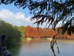 -上海海湾国家森林公园