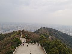 -杭州半山国家森林公园