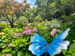 -上海共青森林公园