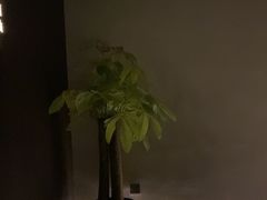 -泰之源足浴会所(玉环店)