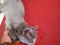 -Vamos巴猫司健身中心(五角场店)